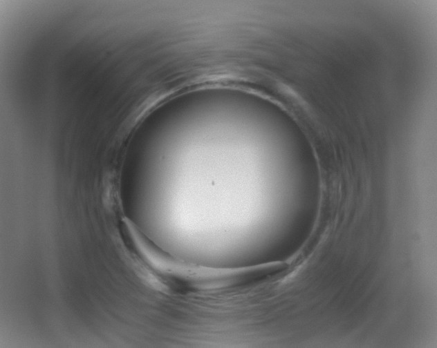 X0000062881361200601131258