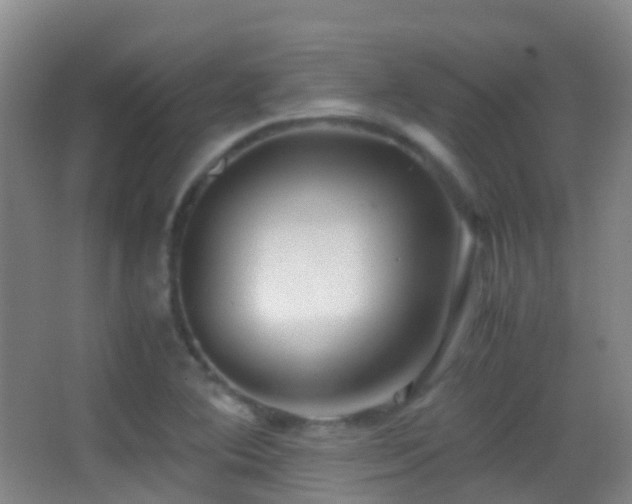 X0000062881364200601131257