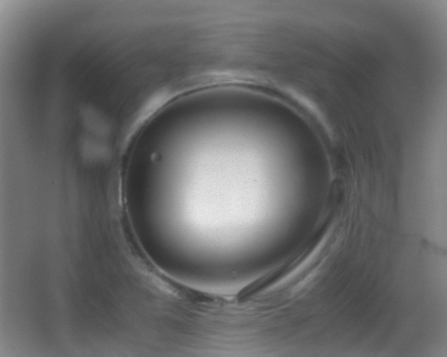 X0000062881365200601131257