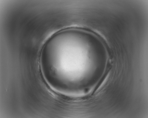 X0000062881367200601131257