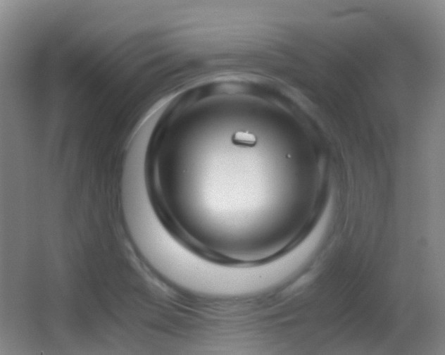 X0000062881369200601131257