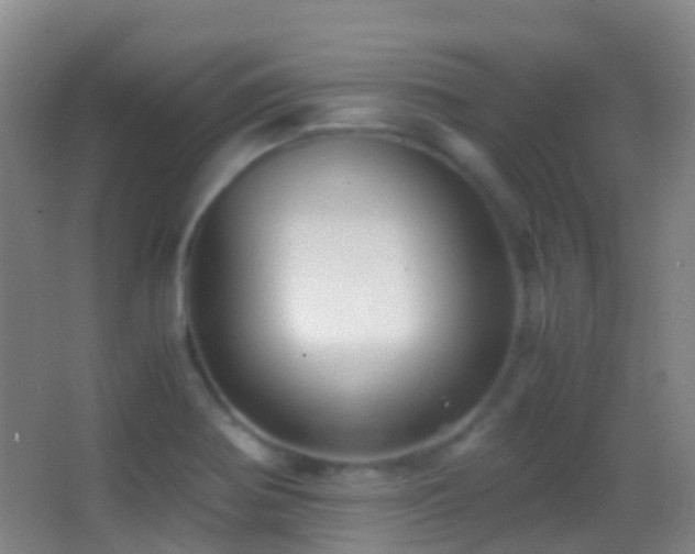 X0000062881370200601131257