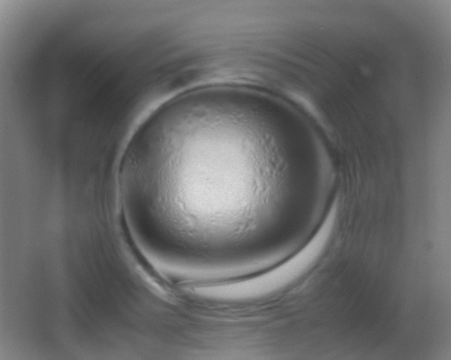 X0000062881371200601131257