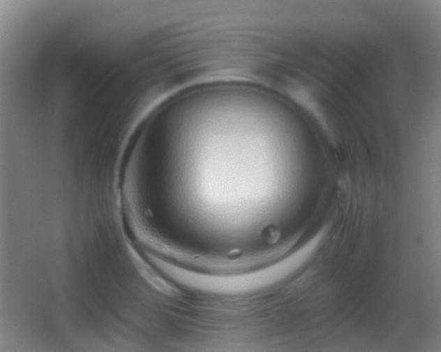 X0000062881372200601131257