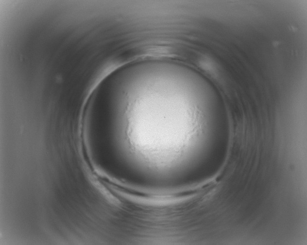 X0000062881378200601131257