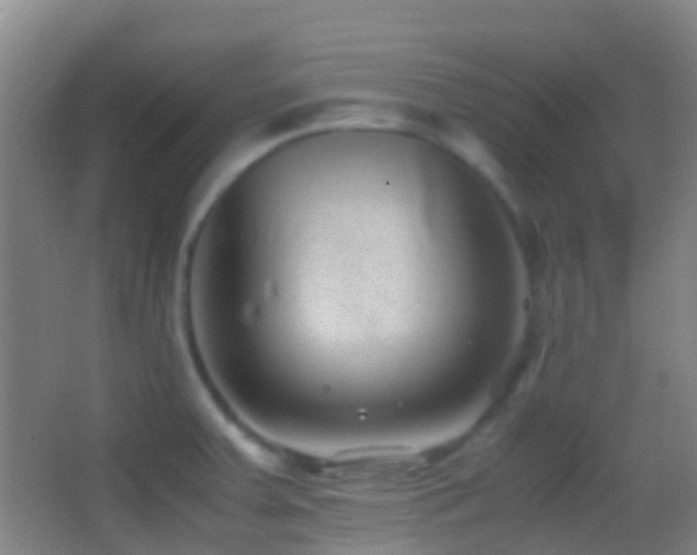 X0000062881379200601131257