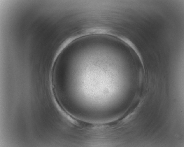 X0000062881389200601131257