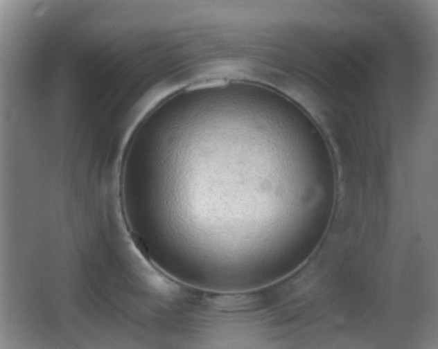 X0000062881392200601131257