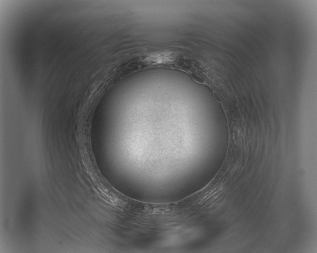 X0000062881393200601131256
