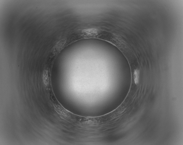 X0000062881395200601131256