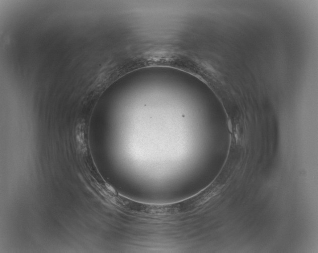 X0000062881396200601131256