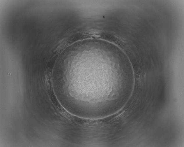 X0000062881397200601131256