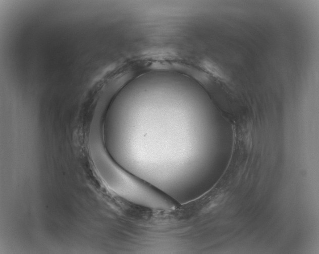 X0000062881398200601131256