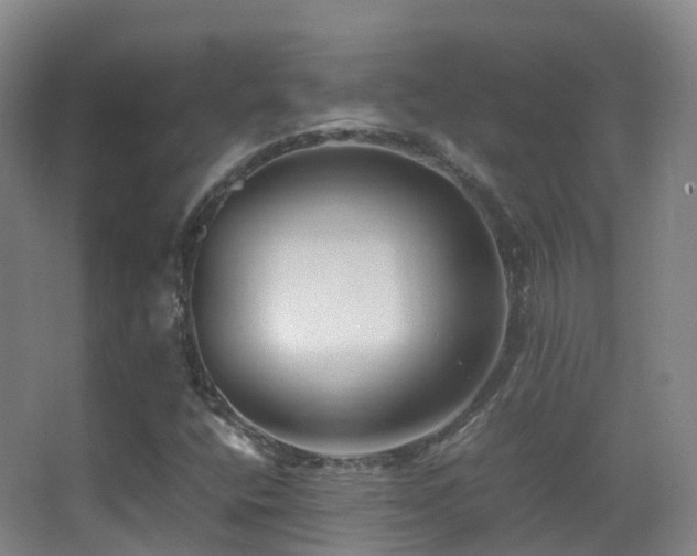 X0000062881400200601131256