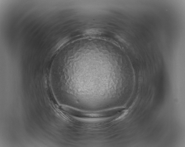 X0000062881401200601131256