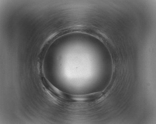 X0000062881402200601131256