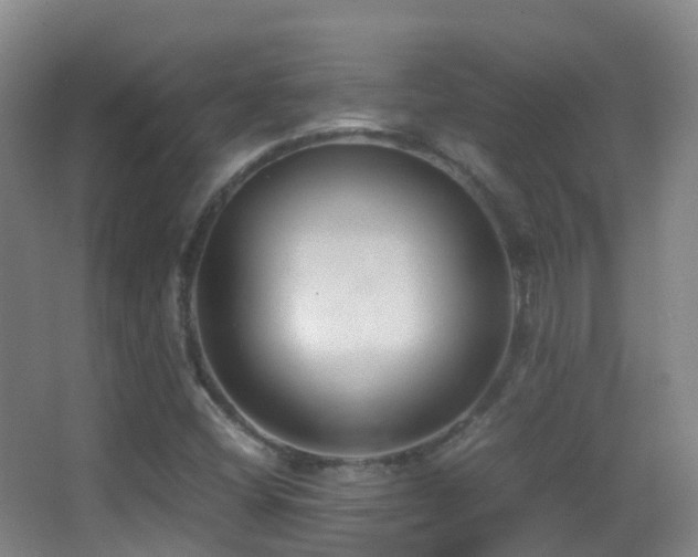 X0000062881404200601131256