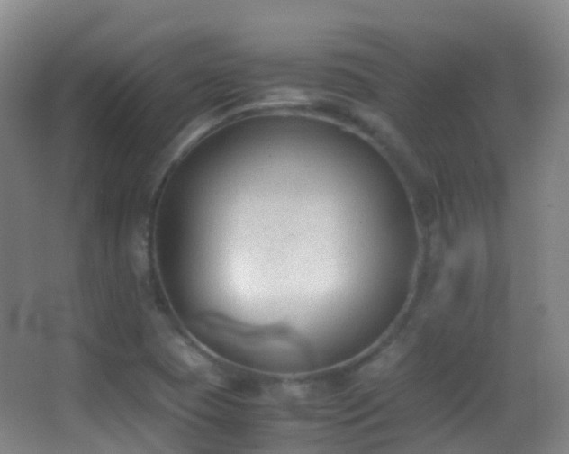 X0000062881409200601131256