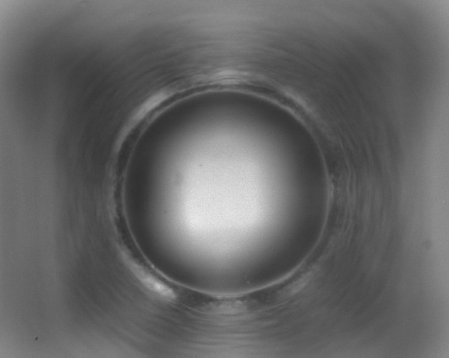 X0000062881410200601131256