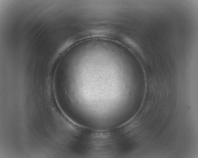 X0000062881411200601131256