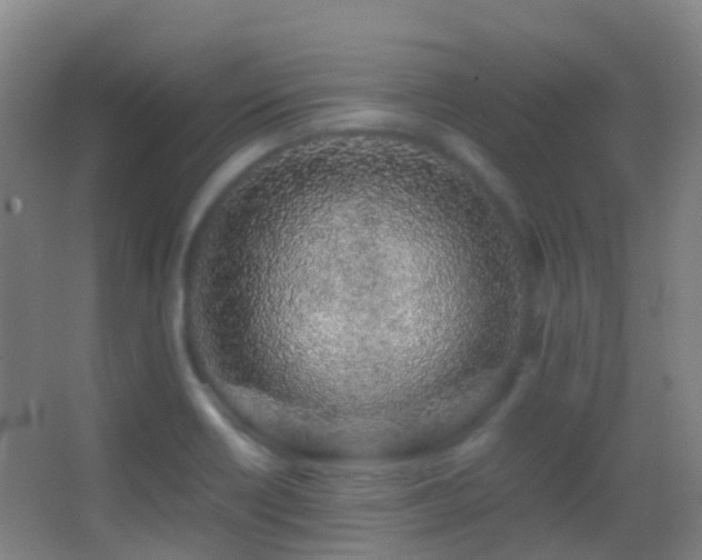 X0000062881418200601131257