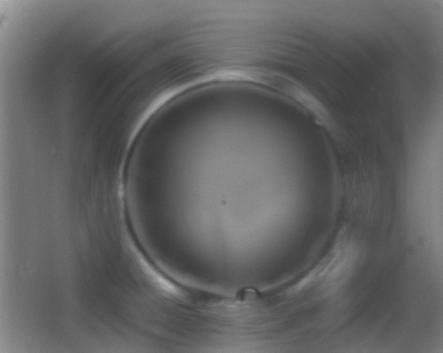 X0000062881428200601131257