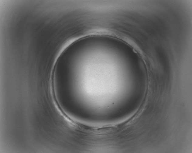 X0000062881440200601131257