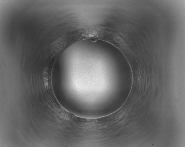 X0000062881442200601131256