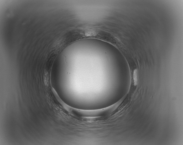 X0000062881443200601131256