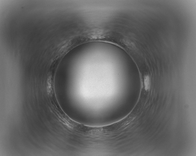 X0000062881444200601131256