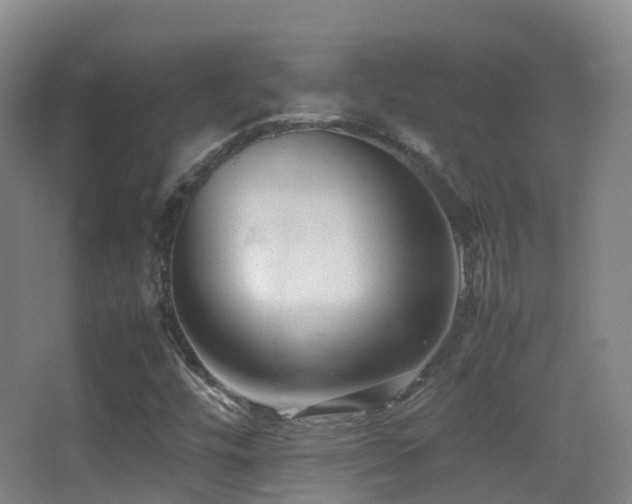 X0000062881448200601131256