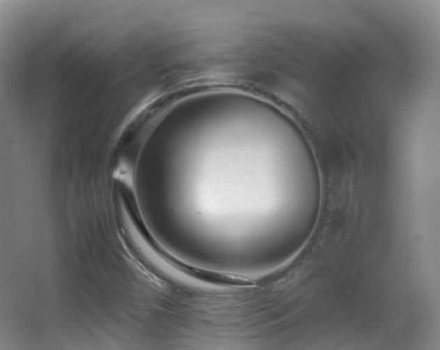 X0000062881450200601131256