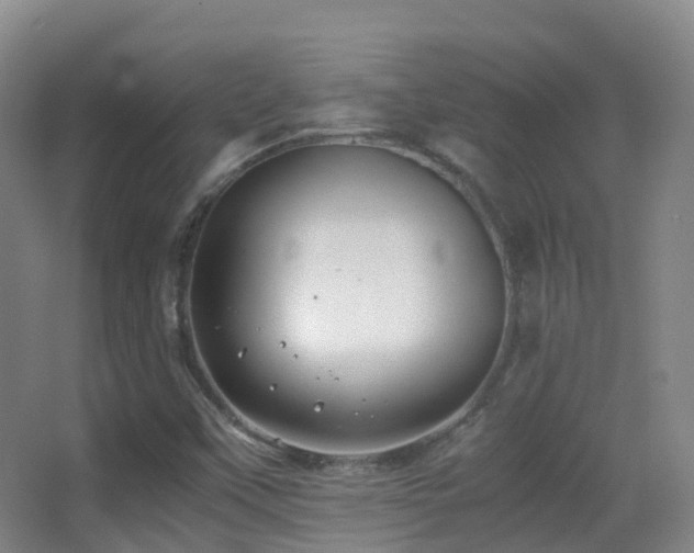 X0000062881451200601131256
