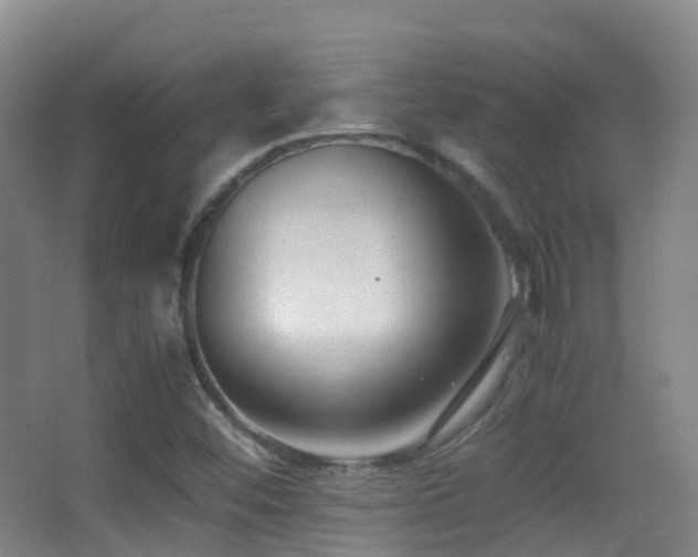X0000062881452200601131256