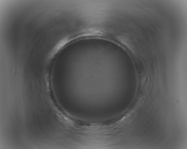X0000062881455200601131256