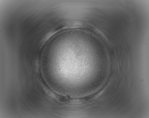 X0000062881457200601131256