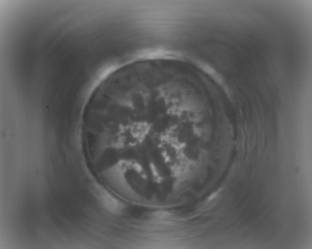 X0000062881463200601131256