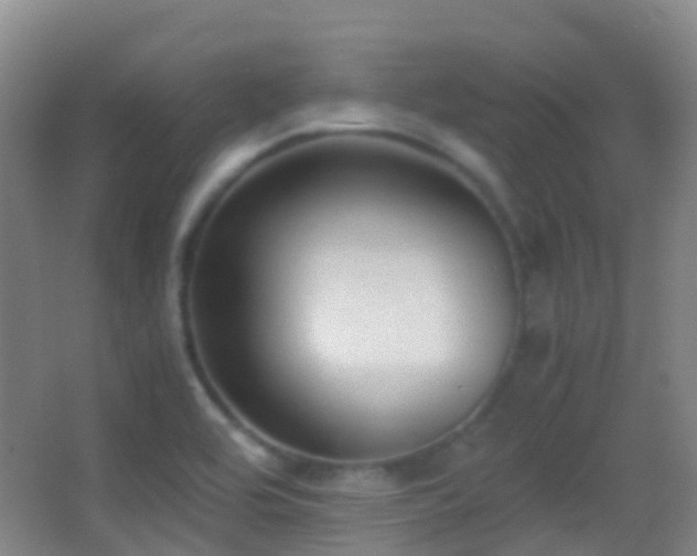 X0000062881464200601131256