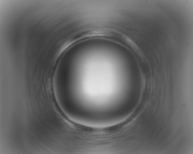 X0000062881465200601131256