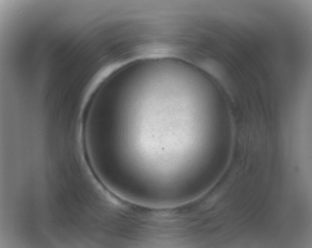 X0000062881472200601131256