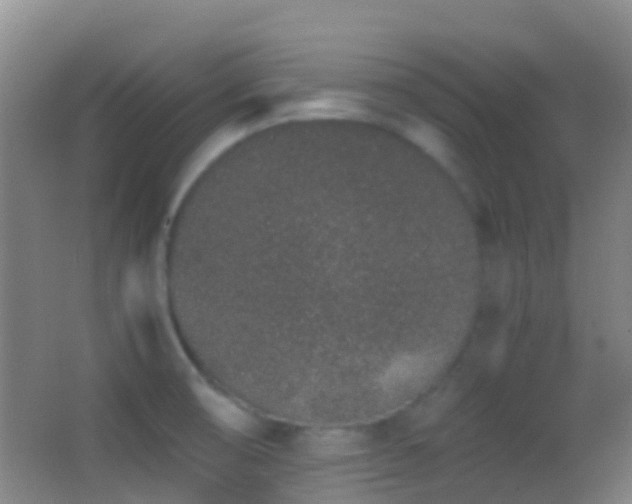 X0000062881474200601131256