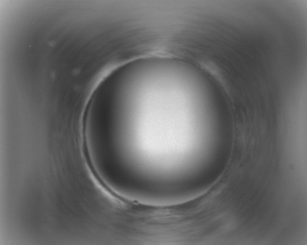 X0000062881479200601131256