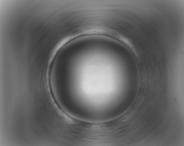 X0000062881480200601131256