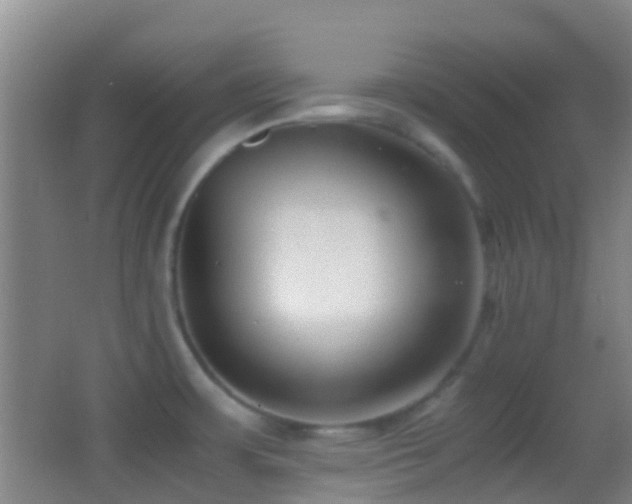 X0000062881483200601131255