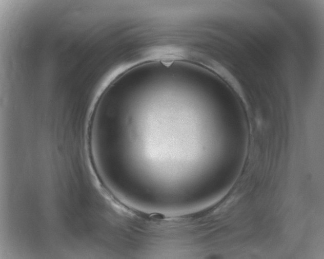 X0000062881488200601131255