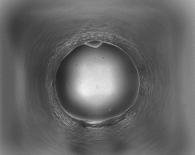 X0000062881489200601131255