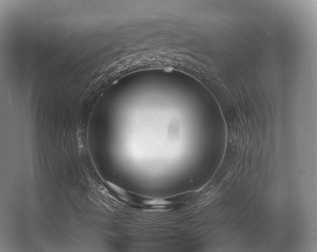 X0000062881490200601131255
