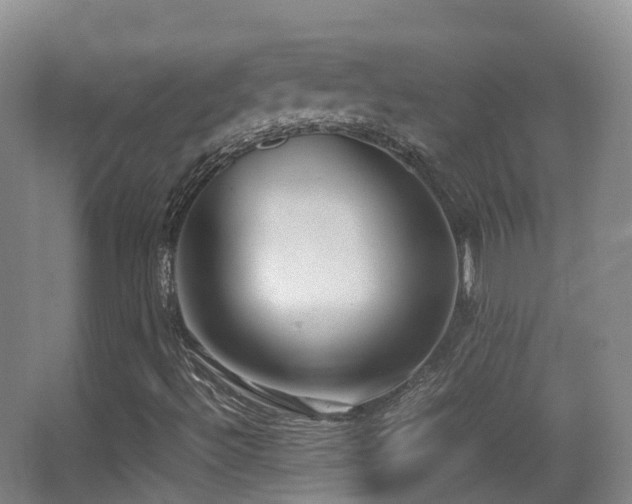 X0000062881492200601131255