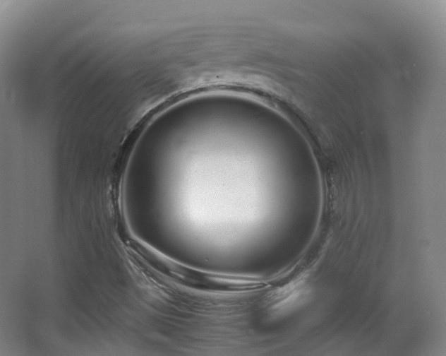 X0000062881497200601131255