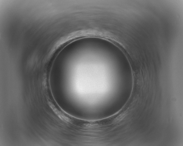 X0000062881499200601131255